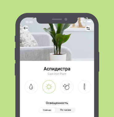 MyPot | Умное кашпо