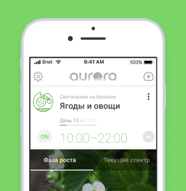 Aurora Smart Light