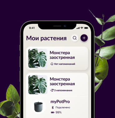 Plantify